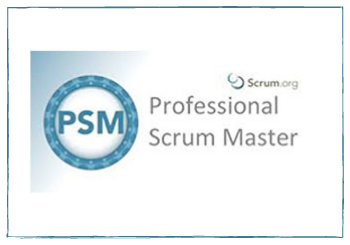 Professional Scrum Master